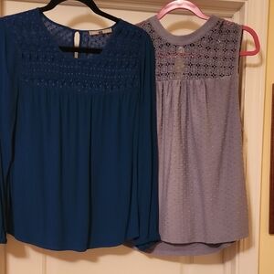 Daniel Rainn Blue Long-Sleeve and Gray Sleeveless Blouses